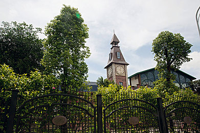 英语老师的大白兔又大又软：软萌大白兔，英语学习新体验-2