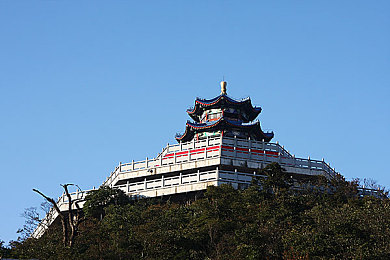 丁香六月色婷婷：“六月盛景：丁香花绽放，美丽与药用价值并存，城市绿化新亮点”-1
