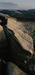 鹿星语同人游戏：鹿星语同人游戏惊艳亮相：沉浸式体验，开启二次元新篇章-2