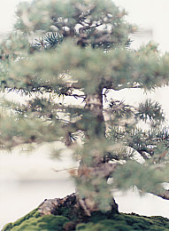 葫芦里面不卖药千万影片：葫芦电影揭露药品安全隐忧，引发公众关注与反思-3