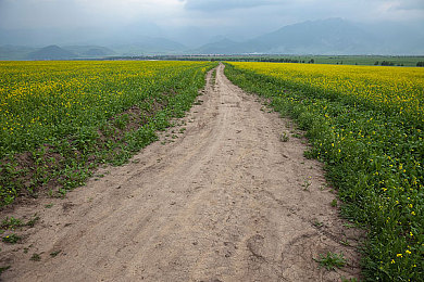 播播开心：开心农场欢乐之旅：体验种植养殖乐趣，结识志同道合朋友-3